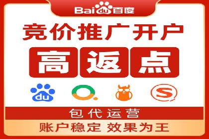 SEM推广公司案例分享：电商品牌崛起之路